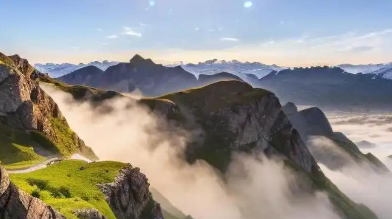 山东潍坊红太阳集团轮播图1