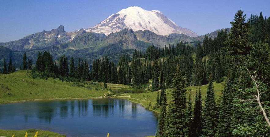 山东潍坊红太阳集团轮播图4